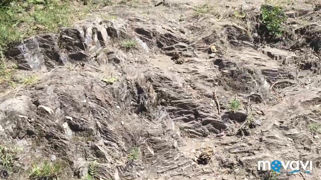 Горный Алтай - Чемал летом/ Влог / Гуляем смотреть онлайн