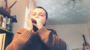 Мурка на губной гармошке