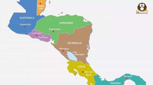 What is a Capybara?  -  Interesting Capybara Facts For Kids!