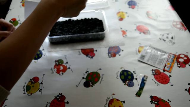 Лобелия. Посев семян лобелии. смотреть онлайн