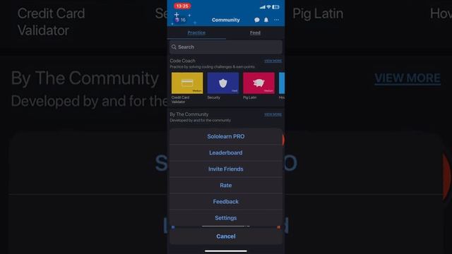How to set the language in Sololearn? смотреть онлайн