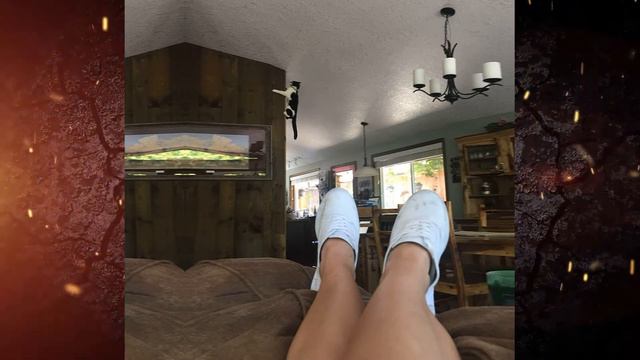 10 смешных кошек 2019 - Смешное видео МатроскинТВ смотреть онлайн