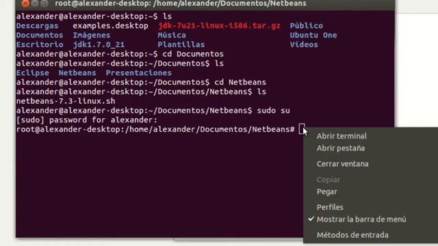 Instalación Netbeans 7.3 en Ubuntu 13.04 forma manual смотреть онлайн