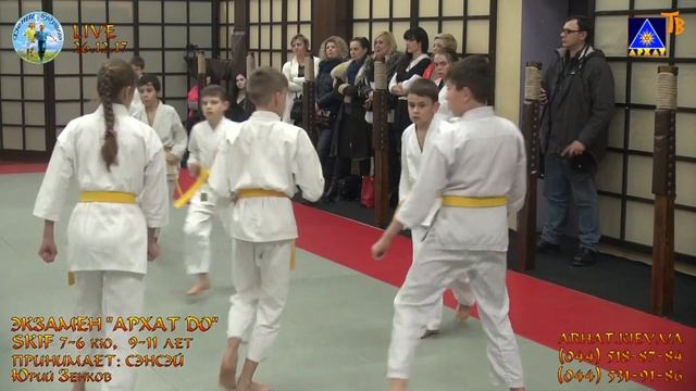 Экзамен, 3-я Младшая Б группа, SKIF 7-6 кю (26.12.2017) смотреть онлайн
