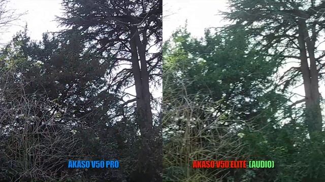 AKASO V50 PRO Vs AKASO V50 ELITE - Head To Head Action Camera Comparison