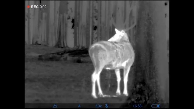 Pulsar Helion 2 XQ38 Testvideo