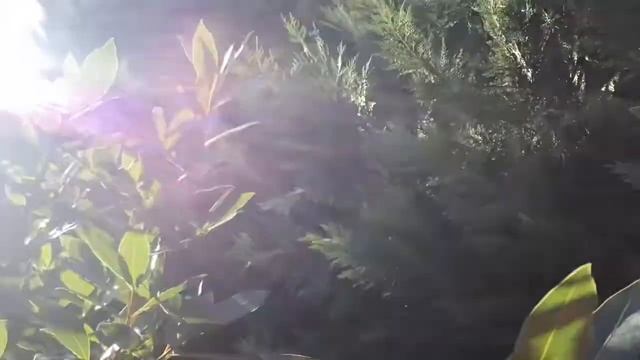 С ДНЁМ РОЖДЕНИЯ! (для женщины) /христианский стих/ читает автор Анна Юркин смотреть онлайн