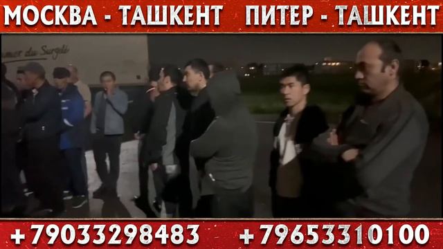 АВТОБУС САНКТ ПЕТЕРБУРГ ТАШКЕНТ #такси #москва #бухоро #такси +79683220008 #без #посредников смотреть онлайн