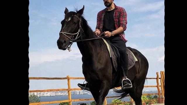 Sıla met with Hilal to reconcile with Halil! смотреть онлайн