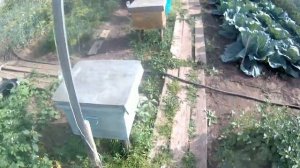 КАЧАЕМ МЁД Ч.1ВОЗДУХОДУВКА ПРИ ОТБОРЕ МЕДОВЫХ РАМОК НА ОТКАЧКУ