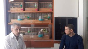 Беседа с начинающим канароводом. Разведения  канареек.