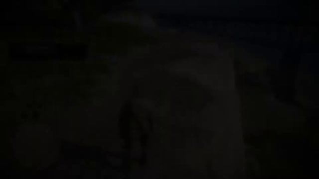 Red Dead Redemption 2. Часть 5 - Искатель сокровищ смотреть онлайн