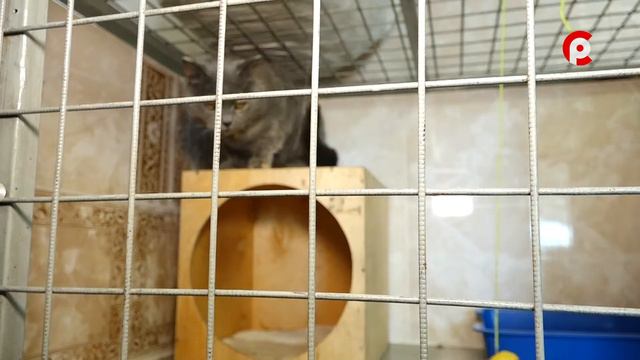 Доброе сердце 18.03.2022