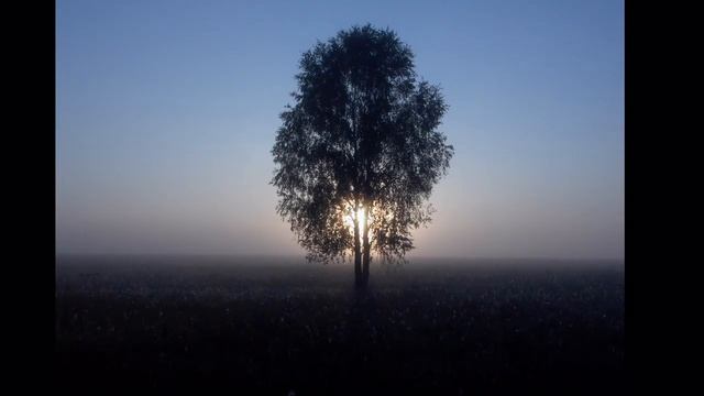"Калинушка - размалинушка" Юрий Щербаков. Слайд-шоу с. Мадаево Нижегородской обл. смотреть онлайн