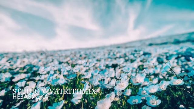 VivatRithmix Незабудка смотреть онлайн