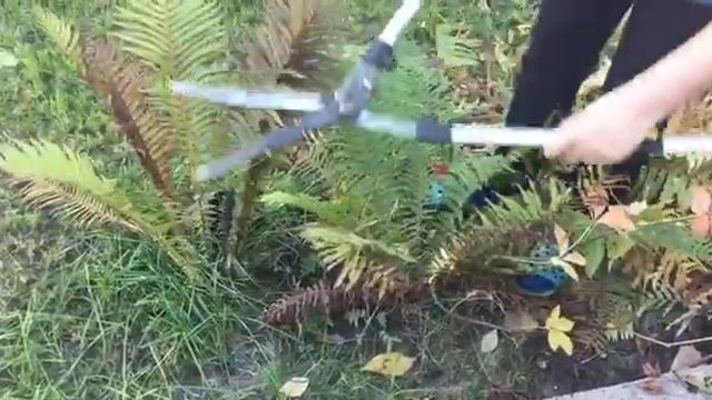 Интересные Факты и Загадки