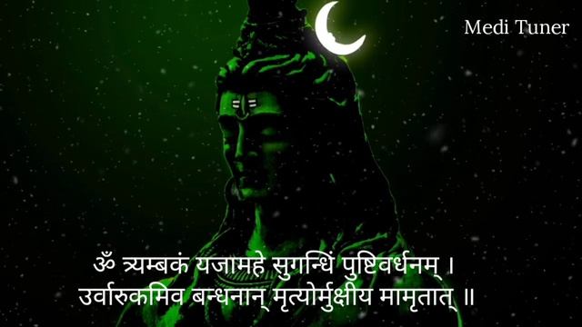 महामृत्युंजय मंत्र | Mahamrityunjaya Mantra | LoFi | With Lyrics