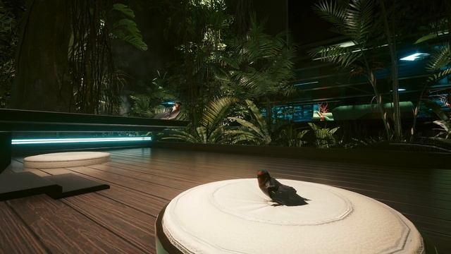 Birds in Night City - Cyberpunk 2077 animals and tunes смотреть онлайн