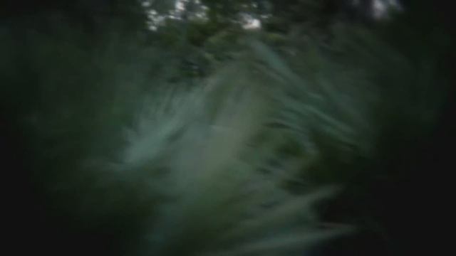 Pub Nikon - Musique De Pub смотреть онлайн