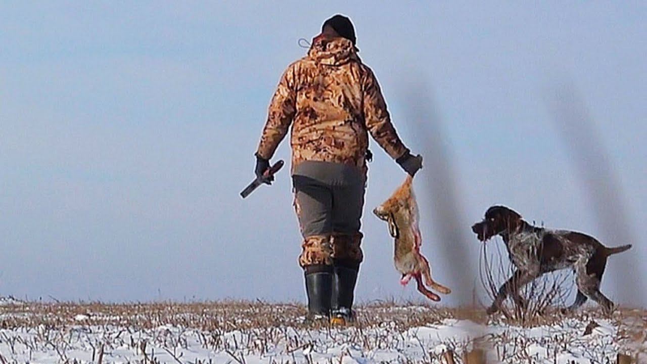 НА ОХОТУ С ЛУЧШИМ ДРУГОМ. ОХОТА НА ЗАЙЦА. ТРОПЛЕНИЕ. СНОВА ПРИШЛА ЗИМА. смотреть онлайн