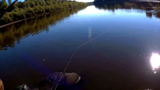 2017. Ловля белой рыбы на реке Десна, с лодки в начале июля смотреть онлайн