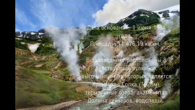 "Мир заповедной природы" - виртуальная экскурсия смотреть онлайн