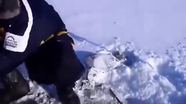 зимняя рыбалка  Ловля плотвы зимой  А окуня на голую мормышку