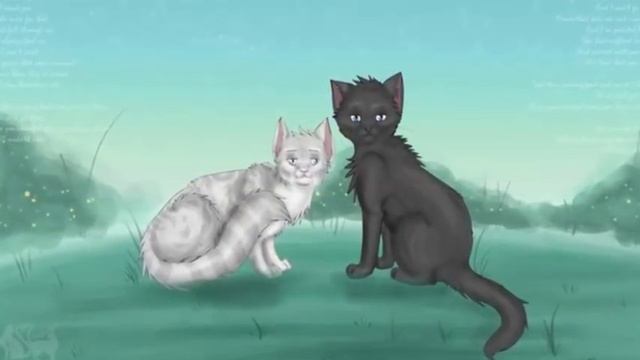 Пары котов воителей:) смотреть онлайн