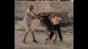 Человек против кенгуру  - Бокс