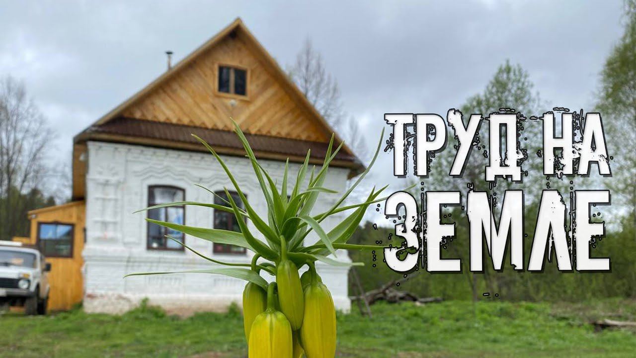 Деревня требует, погода диктует. Улучшаем территорию вокруг дома прадеда смотреть онлайн