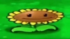 подсолнух танцует под музыку из портала 1 час