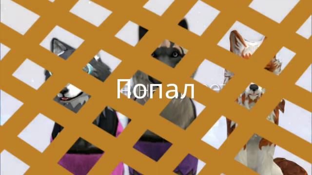 На мап Minty show ты в наши сети попал. смотреть онлайн