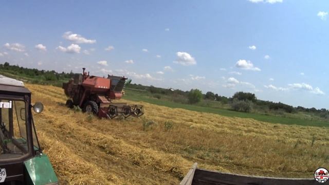 На пшеницу не поехали, зато выехали на ячмень! Комбайн НИВА СК 5 М 1 смотреть онлайн