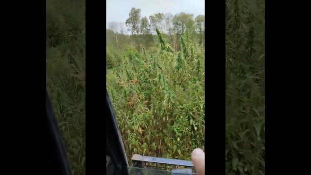 Колонна из Б-10тых прокладывают кабель смотреть онлайн