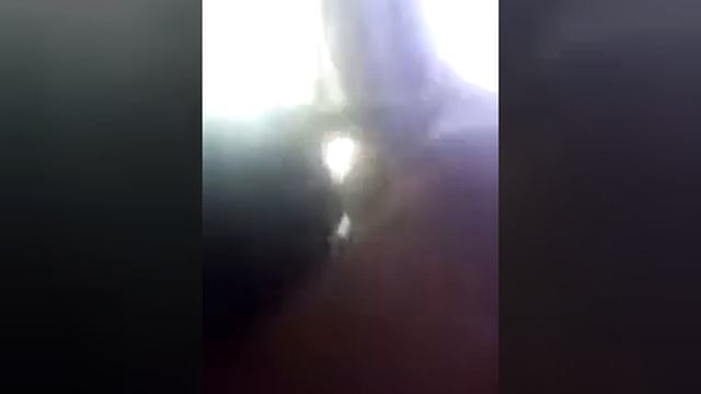 Моя собака показывала язык смотреть онлайн