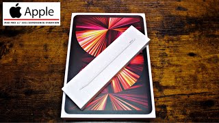 Обзор Аппл Айпад 11 Дюймов 2021 / Apple IPad Pro 11 2021 Experience Overview