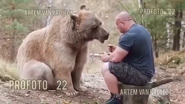 Мужик кормит медведя с ложки