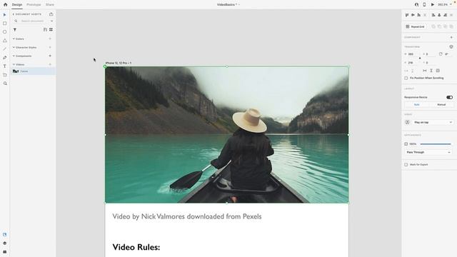 The basics of video in Adobe XD смотреть онлайн