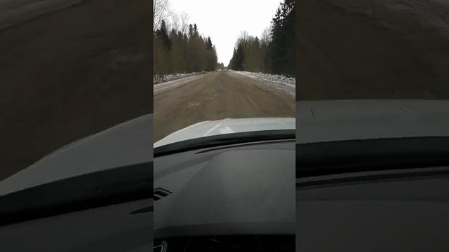 Дорога от Волосово до Выры переход с Волосовского района в Гатчинский Привет Гатчинским чиновникам! смотреть онлайн