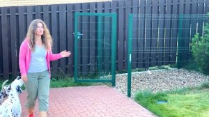 Туалет для собак на участке, как сделать и приучить собак