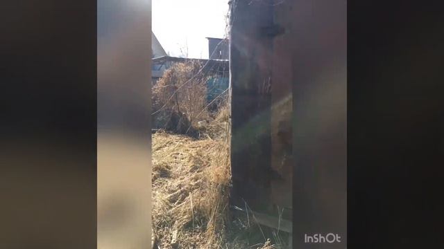 Талгарские дачи / Ветерана-6 смотреть онлайн
