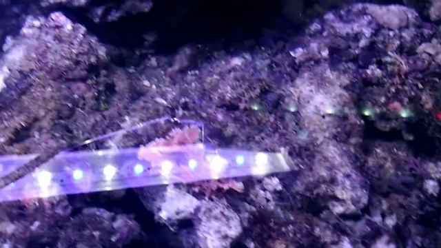 С зеленкой смотреть онлайн