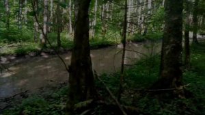 Заброшенная и действующяя воинская часть г  Талдом