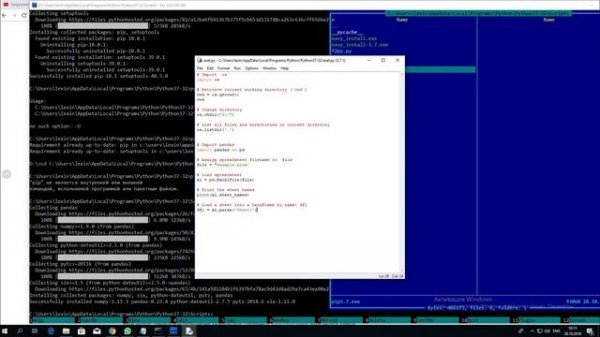 Читаем Exel Питоном (Python) таблицу на экран без саундтрека
