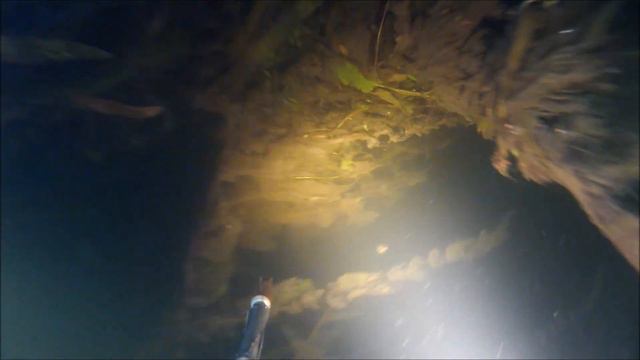 ПОДВОДНАЯ ОХОТА fast hunting смотреть онлайн