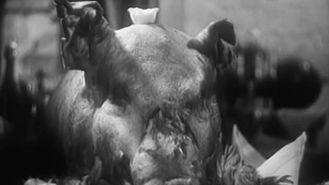 Категорически приветствую! (История появления фразы) смотреть онлайн