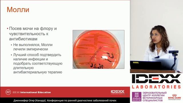 2 - Jennifer Ogeer - "Болезни почек у собак и кошек – преимущества ранней диагностики". смотреть онлайн