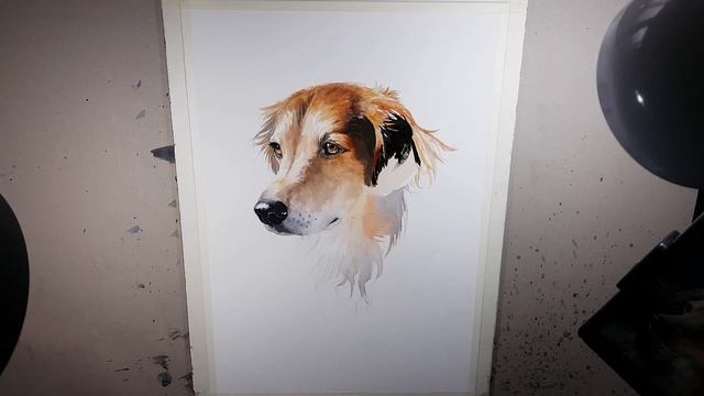 Watercolor [Speed painting - Timelapse] Dog Portrait смотреть онлайн