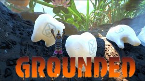 Где найти Осиный чип | Grounded #39