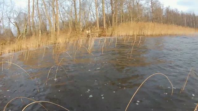 Как поймать диких раков и налима на Селигере поздней осенью. смотреть онлайн